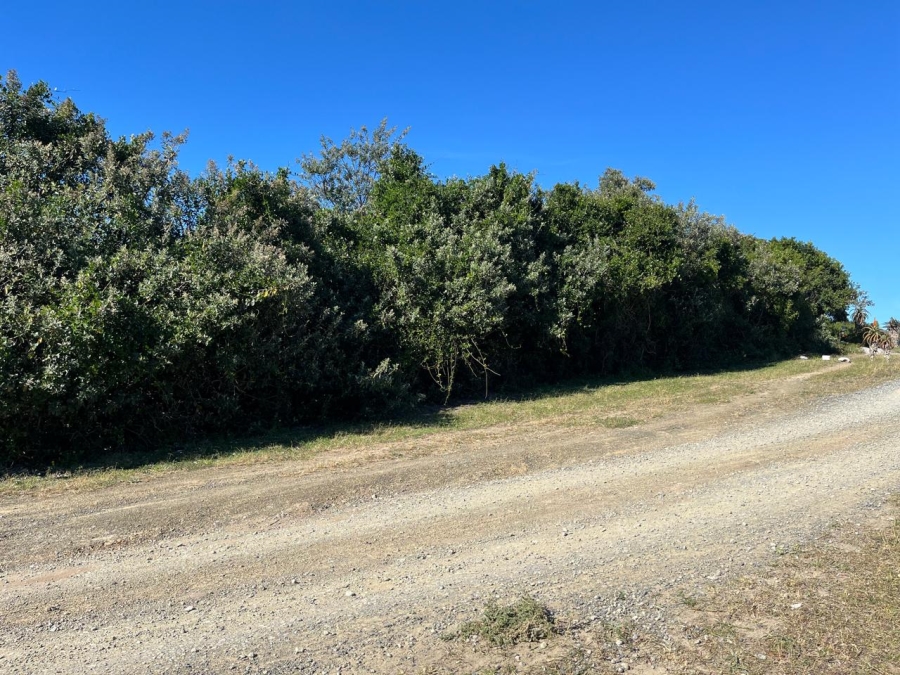 0 Bedroom Property for Sale in Mgwalana Eastern Cape